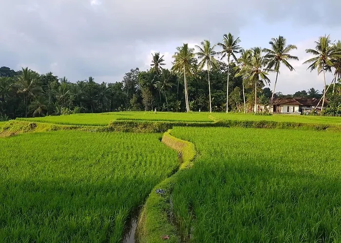 Villa Puri Raya