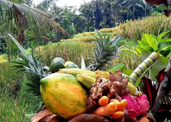 فيلة Puri Raya أوبود