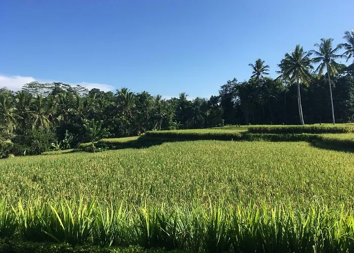 Puri Raya ウブド