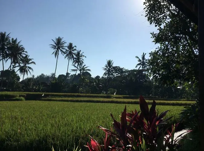 Puri Raya