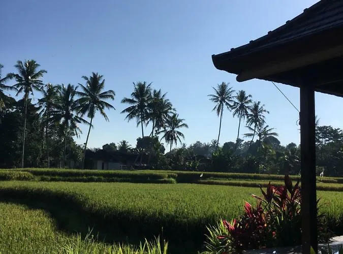 ヴィラ Puri Raya ウブド