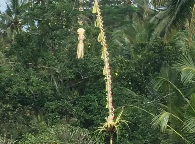 Puri Raya