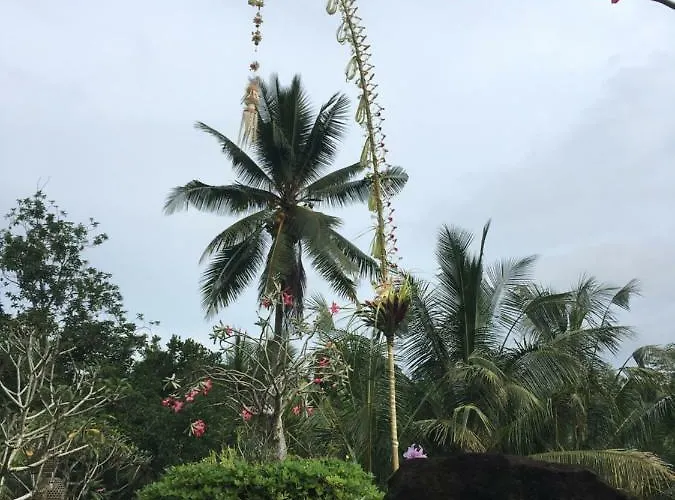 ヴィラ Puri Raya