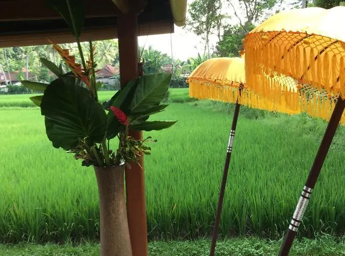 ヴィラ Puri Raya
