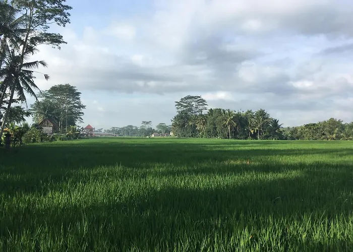 ヴィラ Puri Raya ウブド