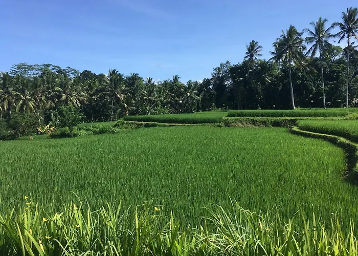 Puri Raya ヴィラ